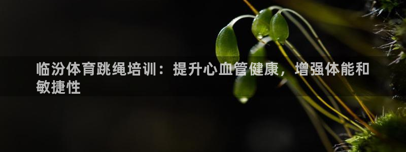 富联娱乐负责人：临汾体育跳绳培训：提升心血管健康，增
