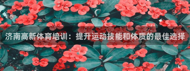 富联申购是什么股票：济南高新体育培训：提升运动技能和