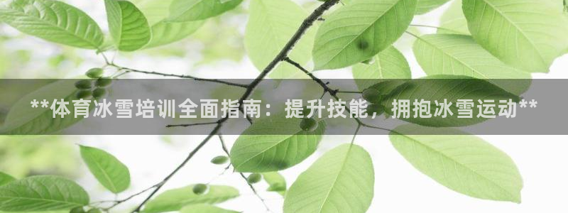 富联娱乐测速登录不了：**体育冰雪培训全面指南：提升