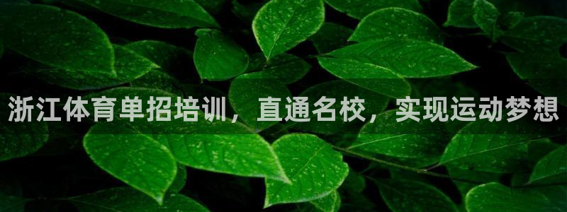 富联娱乐下载app：浙江体育单招培训，直通名校，实现