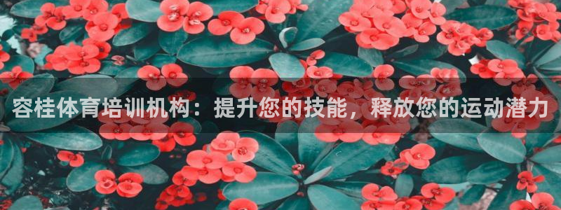 富联是什么平台：容桂体育培训机构：提升您的技能，释放