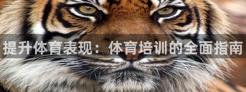 富联申购中签号：提升体育表现：体育培训的全面指南