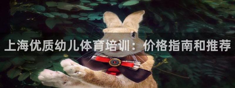 富联平台荐 585341：上海优质幼儿体育培训：价格