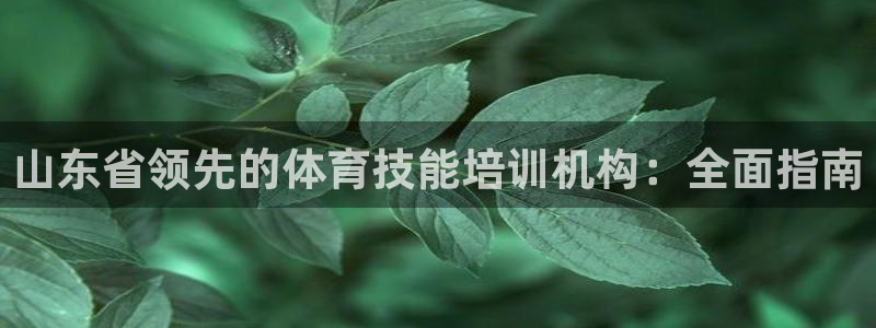 富联官方网站首页登录网址：山东省领先的体育技能培训机