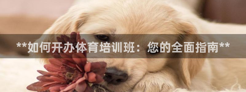 富联娱乐股东结构：**如何开办体育培训班：您的全面指