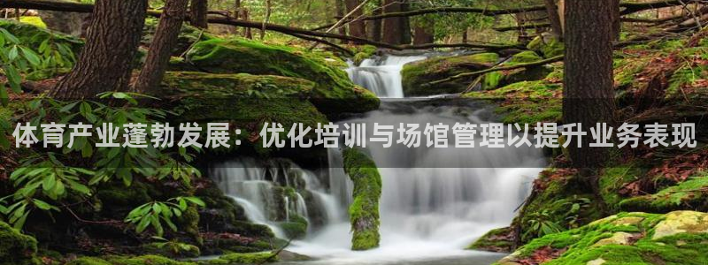 富联官网授权：体育产业蓬勃发展：优化培训与场馆管理以