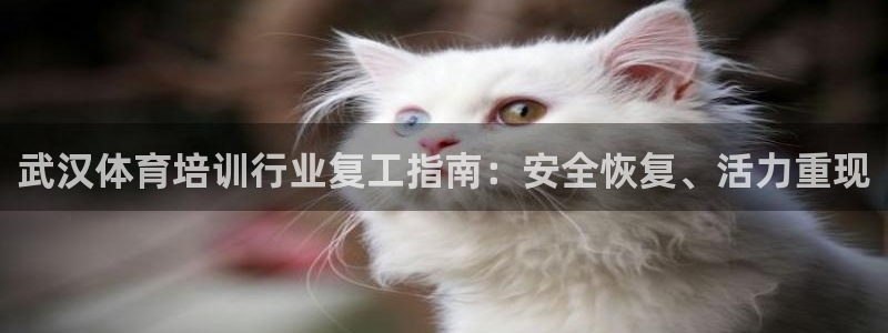 富联平台马 411O31 富联：武汉体育培训行业复工