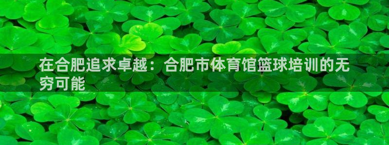 富联什么意思：在合肥追求卓越：合肥市体育馆篮球培训的