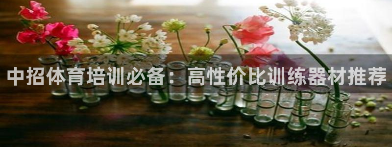 富联建工：中招体育培训必备：高性价比训练器材推荐