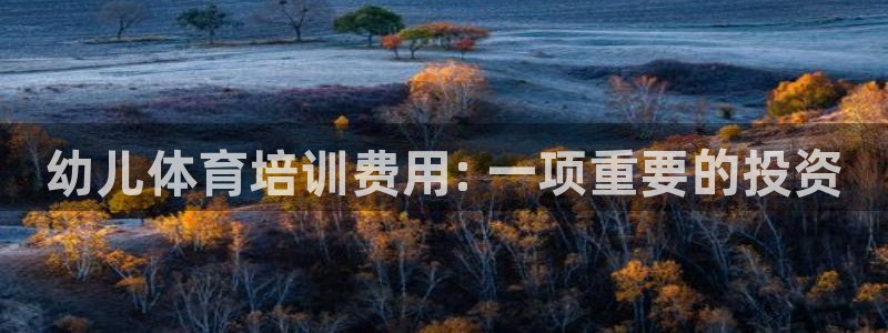 富联娱乐测速怎么样：幼儿体育培训费用: 一项重要的投