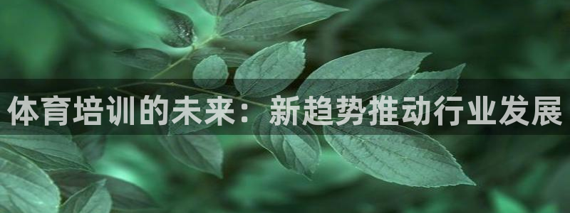 富联平台官网登录入口：体育培训的未来：新趋势推动行业