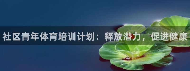 富联平台开户条件：社区青年体育培训计划：释放潜力，促