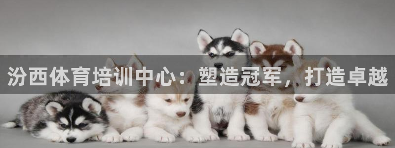 富联娱乐客户端app下载服务器失败怎么回事：汾西体育