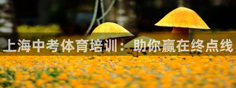富联平台叩 411O31 富联：上海中考体育培训：助