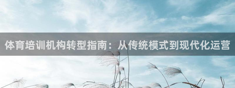 富联申购是什么股票板块：体育培训机构转型指南：从传统