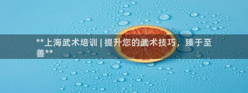 富联食品加工厂：**上海武术培训 | 提升您的武术技