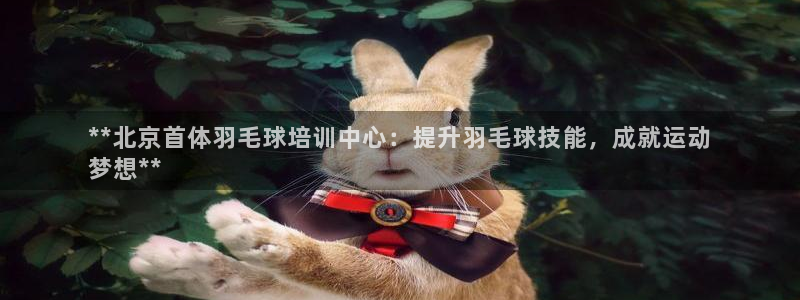 富联平台地址是什么：**北京首体羽毛球培训中心：提升