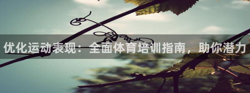 富联娱乐优 411o31 富联：优化运动表现：全面体