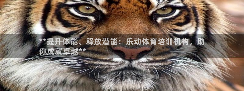 富联科技上市了吗今天：**提升体能、释放潜能：乐动体