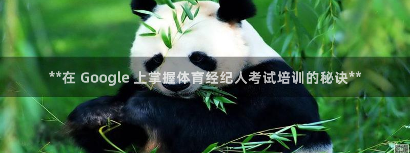 富联丰地产交易平台：**在 Google 上掌握体育