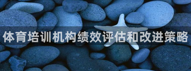 富联机械：体育培训机构绩效评估和改进策略