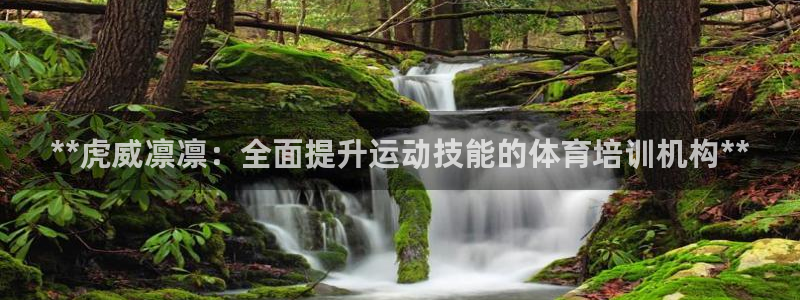 富联是什么：**虎威凛凛：全面提升运动技能的体育培训