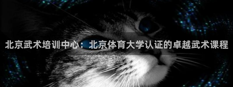 富联娱乐测速地址查询：北京武术培训中心：北京体育大学