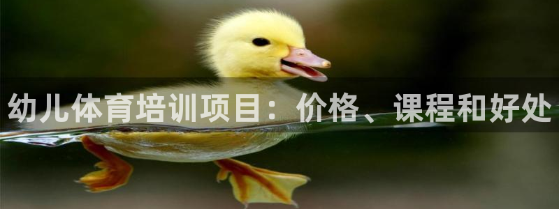 富联娱乐平台是什么软件：幼儿体育培训项目：价格、课程