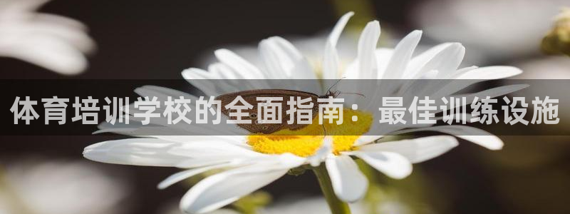 富联娱乐平台能挣到钱吗知乎：体育培训学校的全面指南：