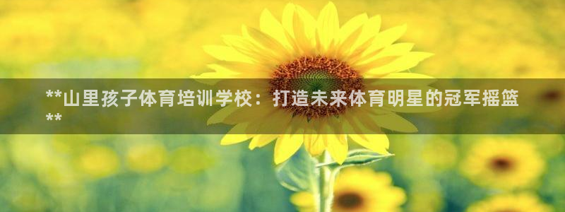 富联小区：**山里孩子体育培训学校：打造未来体育明星
