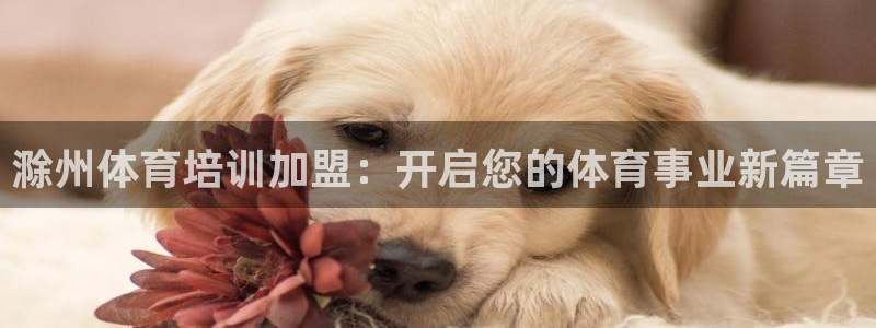 富联平台登陆：滁州体育培训加盟：开启您的体育事业新篇