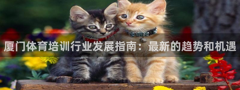 富联平台用户登陆失败：厦门体育培训行业发展指南：最新
