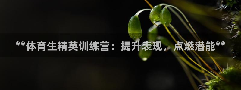 富联平台招商怎么样：**体育生精英训练营：提升表现，