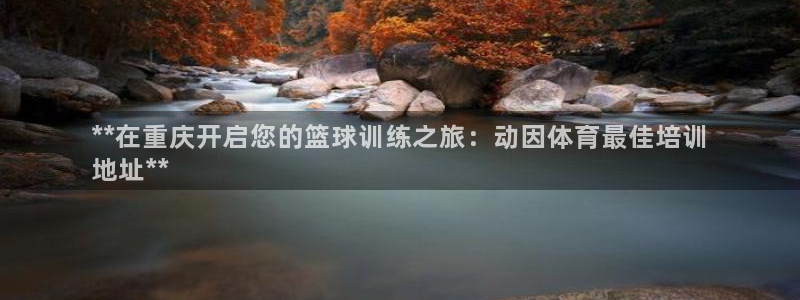 富联平台登录注册账号：**在重庆开启您的篮球训练之旅