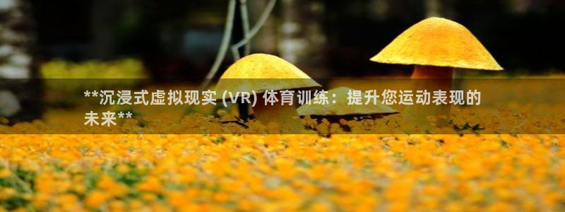 富联平台招商：**沉浸式虚拟现实 (VR) 体育训练
