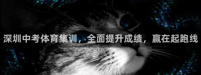 富联官网登录：深圳中考体育集训，全面提升成绩，赢在起