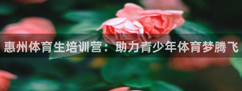 富联娱乐总代理电话：惠州体育生培训营：助力青少年体育