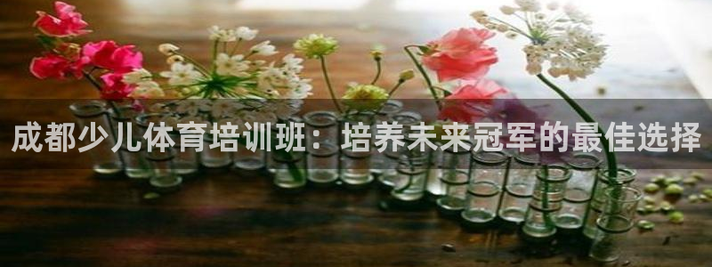 富联娱乐马 5O6917 娱乐：成都少儿体育培训班：