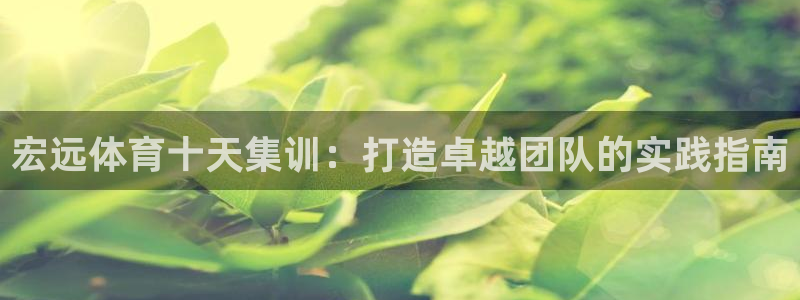 富联娱乐测速软件下载：宏远体育十天集训：打造卓越团队