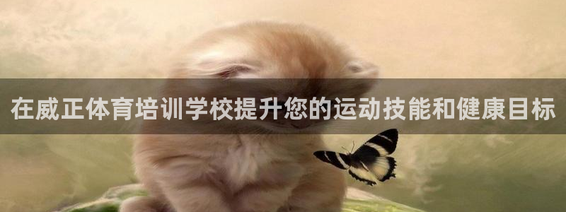 香港富联集团：在威正体育培训学校提升您的运动技能和健