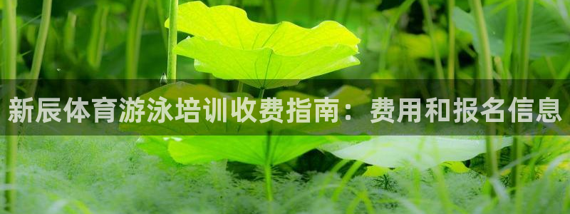 富联平台先 3.7.OO.7.3.5：新辰体育游泳培