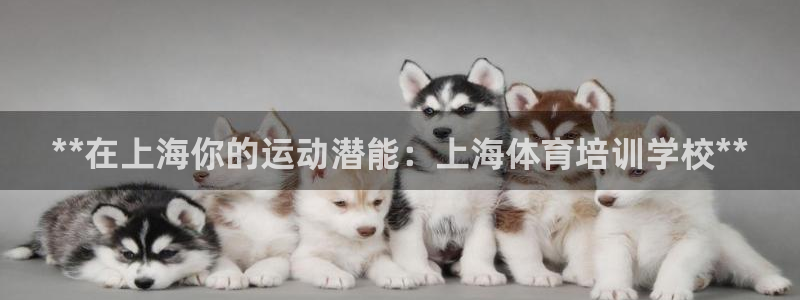 富联娱乐平台是什么软件：**在上海你的运动潜能：上海