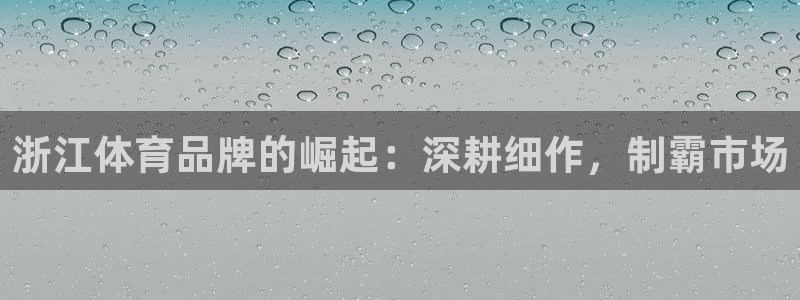 富联公寓：浙江体育品牌的崛起：深耕细作，制霸市场